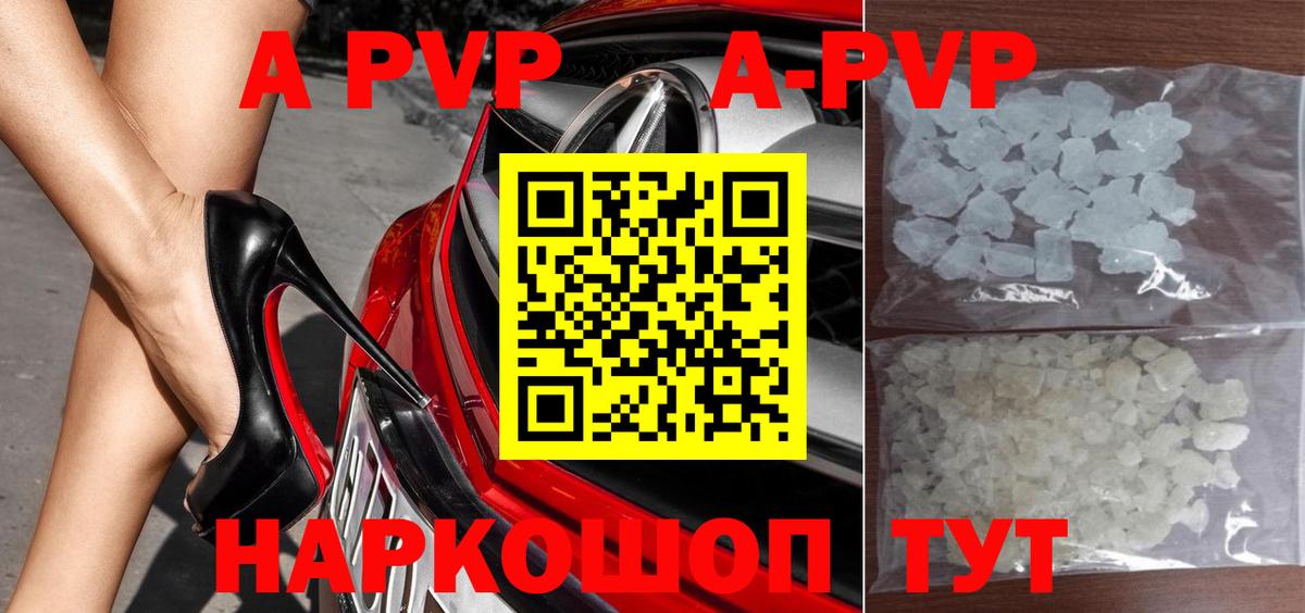 A PVP СК КРИС Нововоронеж