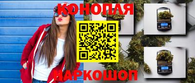 дмт Волгодонск
