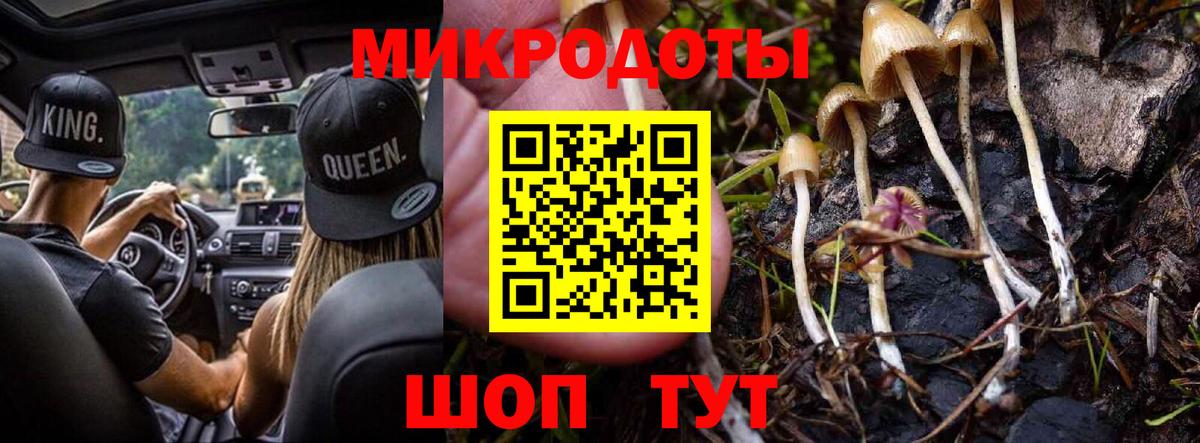Нововоронеж  купить наркоту  Вход с VPN  Галлюциногенные грибы Psilocybine cubensis 