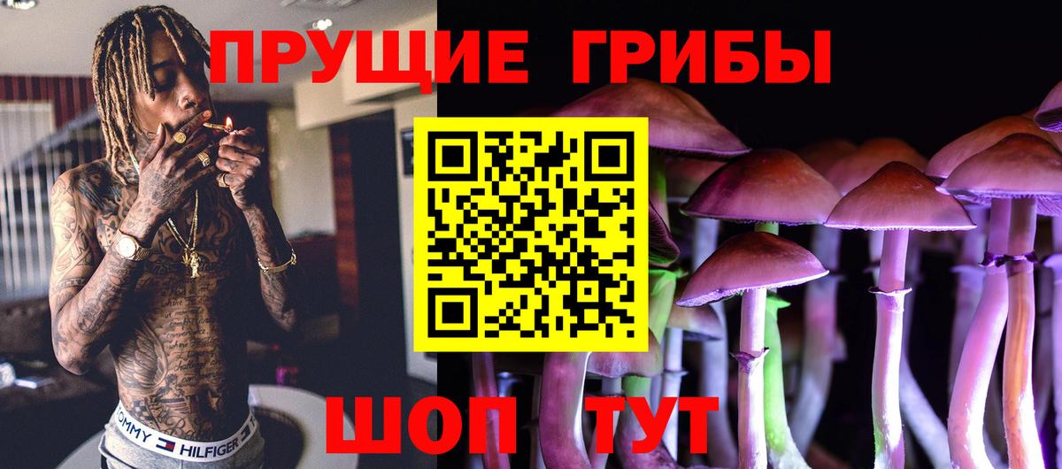 Галлюциногенные грибы MAGIC MUSHROOMS Нововоронеж