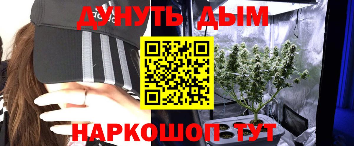 Бошки Шишки сатива Нововоронеж